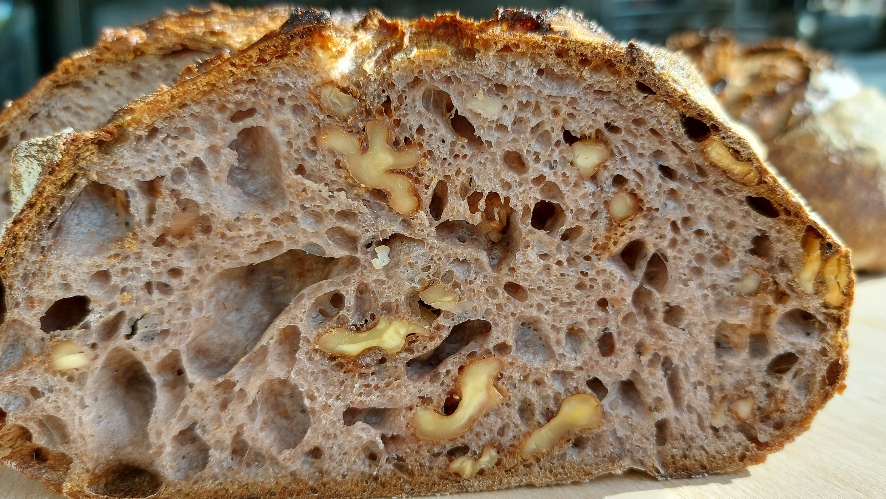 Image de l'article Campagne Noix